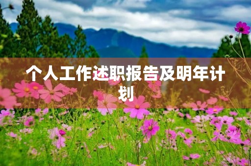 个人工作述职报告及明年计划
