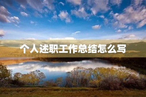 个人述职工作总结怎么写