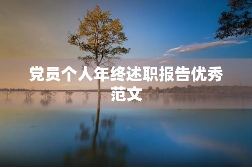 党员个人年终述职报告优秀范文【六篇】