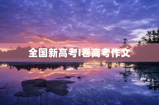 全国新高考I卷高考作文 全国新高考I卷高考作文