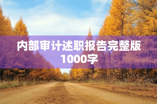 内部审计述职报告完整版1000字