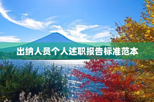 出纳人员个人述职报告标准范本