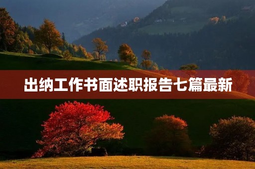 出纳工作书面述职报告七篇最新
