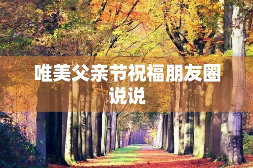 唯美父亲节祝福朋友圈说说