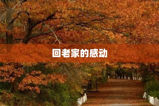 回老家的感动