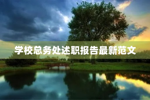 学校总务处述职报告最新范文