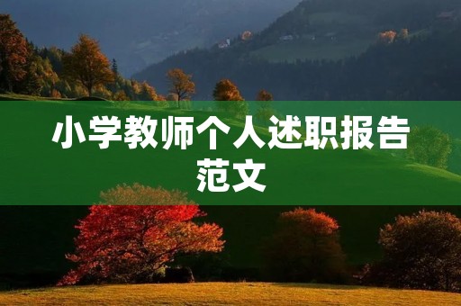 小学教师个人述职报告范文（10篇）