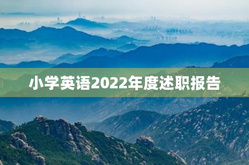 小学英语2022年度述职报告