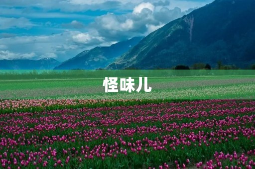 怪味儿