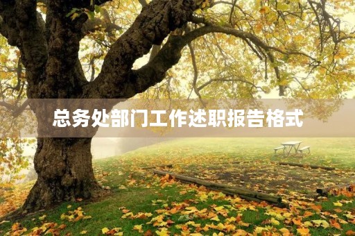 总务处部门工作述职报告格式