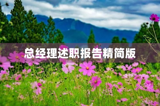 总经理述职报告精简版