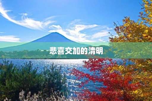 悲喜交加的清明