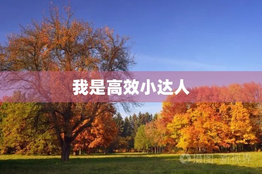 我是高效小达人