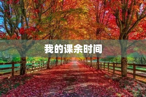 我的课余时间