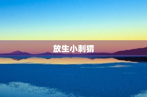 放生小刺猬