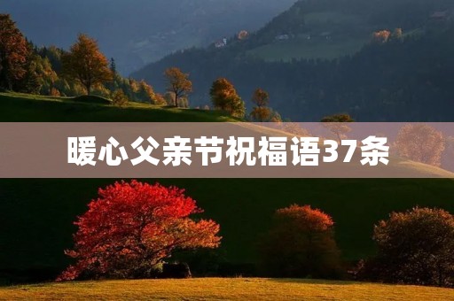 暖心父亲节祝福语37条