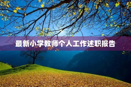 最新小学教师个人工作述职报告