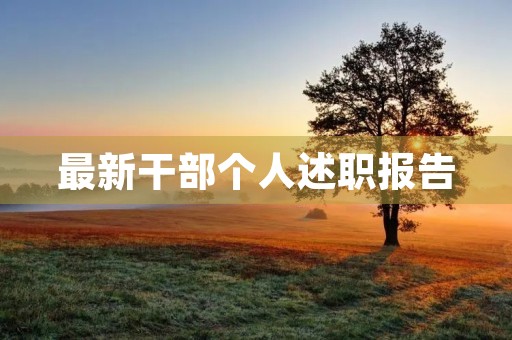 最新干部个人述职报告（通用12篇）