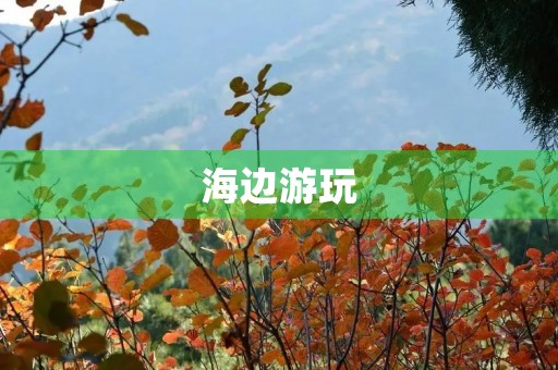 海边游玩