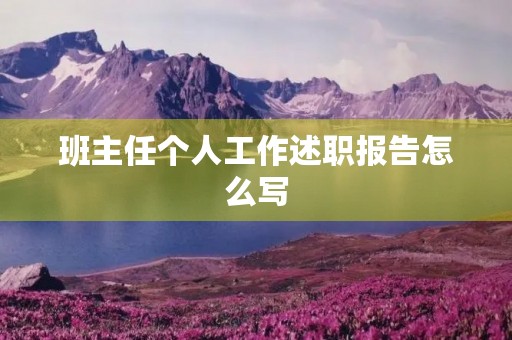 班主任个人工作述职报告怎么写