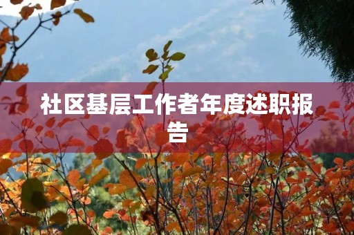社区基层工作者年度述职报告