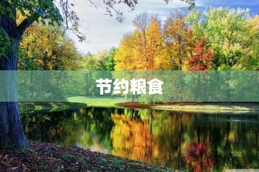 节约粮食，从我做起