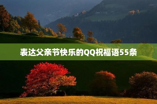 表达父亲节快乐的QQ祝福语55条