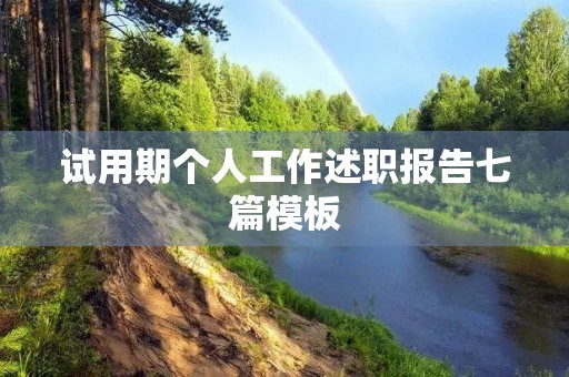 试用期个人工作述职报告七篇模板