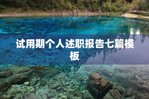 试用期个人述职报告七篇模板