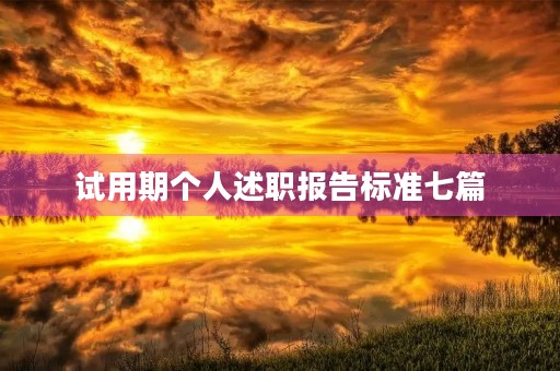 试用期个人述职报告标准七篇