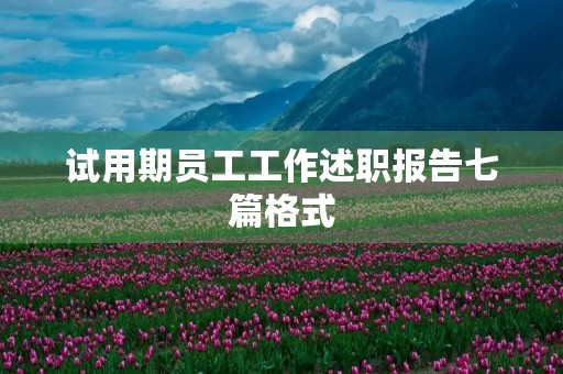 试用期员工工作述职报告七篇格式