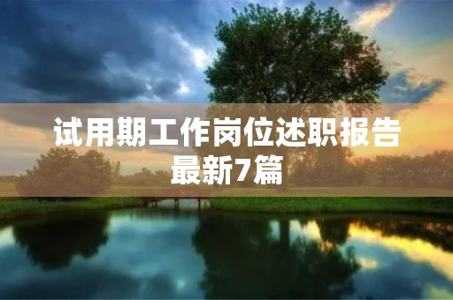 试用期工作岗位述职报告最新7篇