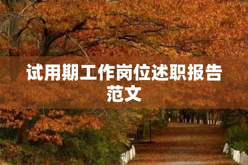 试用期工作岗位述职报告范文【七篇】