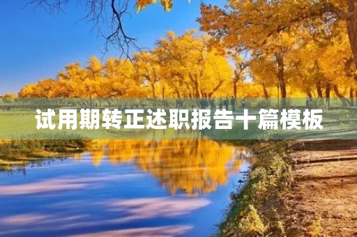 试用期转正述职报告十篇模板