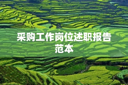 采购工作岗位述职报告范本