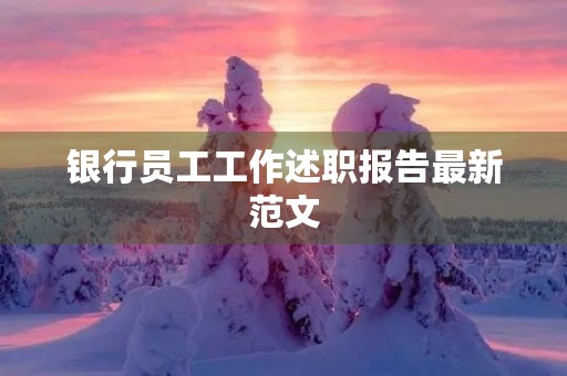 银行员工工作述职报告最新范文