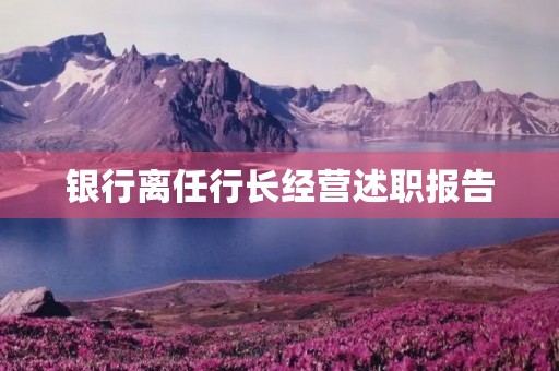 银行离任行长经营述职报告