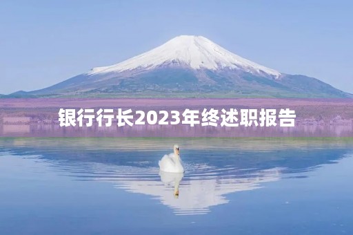 银行行长2023年终述职报告