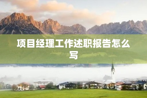 项目经理工作述职报告怎么写