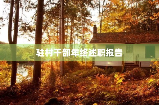 驻村干部年终述职报告