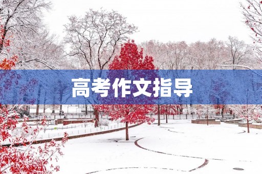 高考作文指导