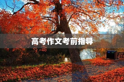 高考作文考前指导
