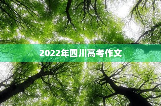 2022年四川高考作文