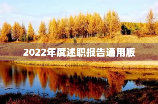 2022年度述职报告通用版