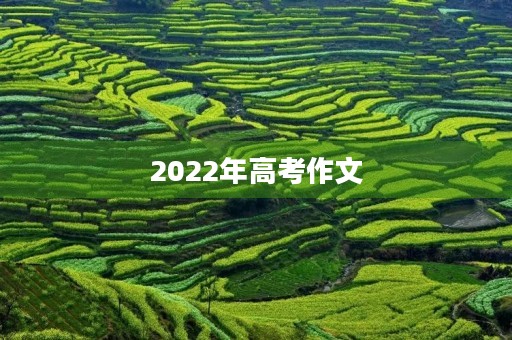 2022年高考作文