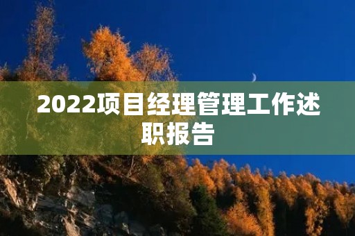 2022项目经理管理工作述职报告