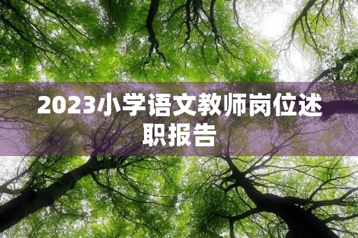 2023小学语文教师岗位述职报告