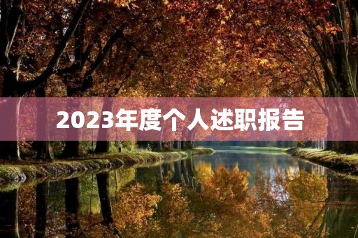 2023年度个人述职报告(7篇)