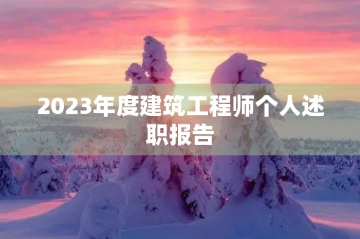 2023年度建筑工程师个人述职报告