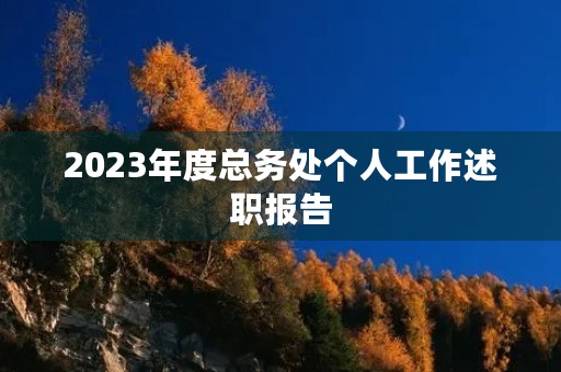 2023年度总务处个人工作述职报告